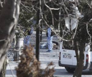 La mayoría de los fallecidos en ese ataque, atribuido por el gobierno a un hombre de origen sirio, eran turistas alemanes, según los medios turcos.