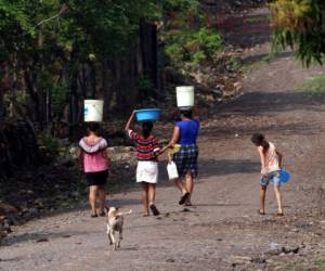 Las familias del Corredor Seco enfrentan una incertidumbre alimentaria, según el PMA y la FAO.