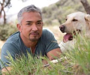 Piden que National Geographic deje de transmitir 'Cesar 911'.