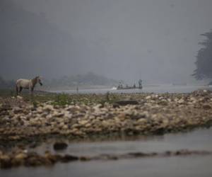 La situación del río Coco o Segovia es deprimente debido al daño que recibe su cuenca.