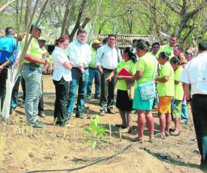 El programa dispondrá de una inversión de 3.3 millones de dólares, es decir más de 75 millones de lempiras.