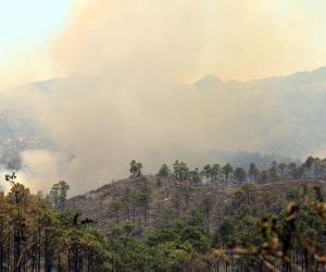 En incendio se reportó en las montañas de Las Moras y El Trigo en la zona de El Hatillo.