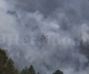 En marzo del 2017 más de 500 héctareas de bosque fueron consumidas en El Hatillo tras un voraz incendio que habría sido causado por mano criminal.