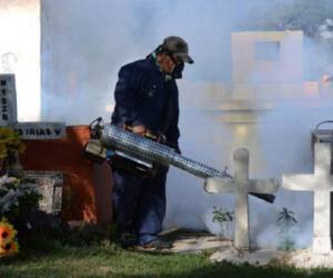 El brote de zika y su rápida expansión plantean la posibilidad de que existan otras vías de contagio.