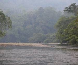 La Unidad Investigativa de EL HERALDO Pius visitó la Reserva de la Biosfera del Río Plátano encontrando severos daños por la deforestación