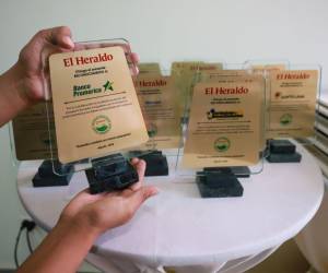 Los reconocimientos fueron entregados a todas las escuelas que formaron parte de la campaña Escuelas Amigables con el Ambiente.