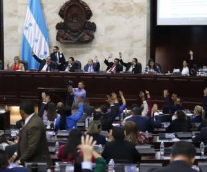 Un grupo de ocho diputados del Partido Nacional denunció internacionalmente al gobierno de la presidenta Xiomara Castro por persecución política.