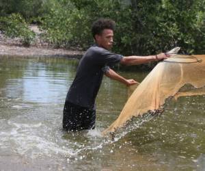 Ariel sueña con convertirse en un ingeniero acuícola.