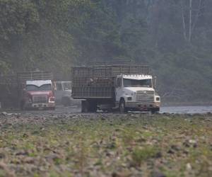 La Unidad Investigativa de EL HERALDO Plus viajó a la Reserva de la Biosfera del Río Plátano para evidenciar la deforestación en la zona núcleo