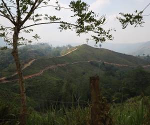 La Unidad Investigativa de EL HERALDO Plus se internó por diferentes narcocarreteras que conectan a la zona núcleo de la Reserva de la Biosfera del Río Plátano en Gracias a Dios.