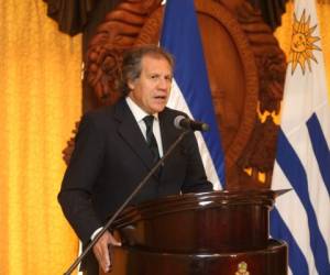 Almagro dijo que la labor de la misión fortalece las instituciones democráticas de la región (Foto: El Heraldo Honduras/ Noticias de Honduras)