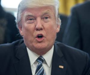 US President Donald Trump speaks before signing an executive order entitled Comprehensive Plan for Reorganizing the Executive Branch in the Oval Office at the White House in Washington, DC, on March 13, 2017. / AFP PHOTO / NICHOLAS KAMM