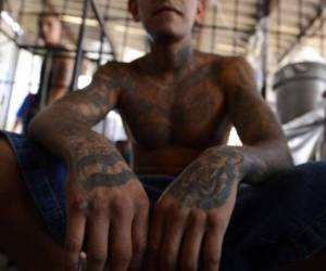 Hace una década que la pandilla Mara Salvatrucha, o MS-13, nacida entre inmigrantes salvadoreños en las calles de Los Ángeles en los años '80 y exportada luego a Centroamérica, aterroriza a Brentwood y a Central Islip, dos pueblos de Long Island.