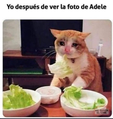 Adele causa furor por pérdida de peso y las redes se inundan de memes