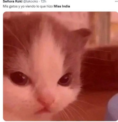 Memes que dejó el 'miau' de Harnaaz Sandhu en ceremonia de Miss Universo