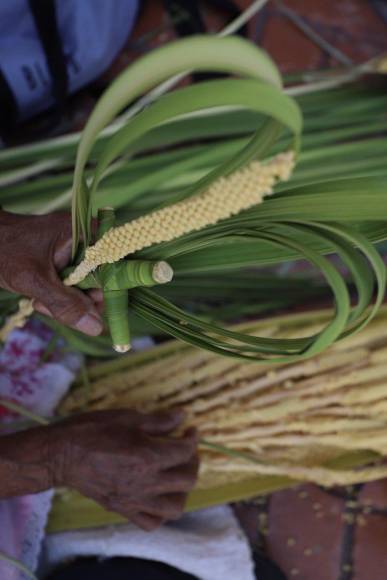 Familias enteras reviven en Comayagua tradicional venta de palmas previo a Domingo de Ramos