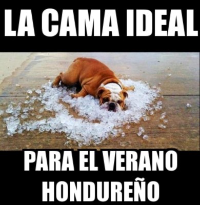 Ola de calor despierte el humor de hondureños con divertidos memes