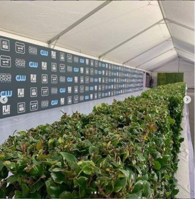 Datos curiosos de los Critics' Choice Awards 2020