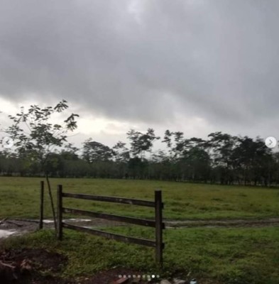 FOTOS: Los bienes incautados a los Valle Valle en operación Redada II