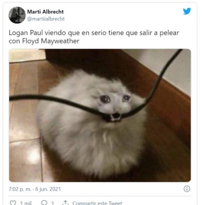 Maywheather vs Logan: Los mejores memes previo a la pelea   