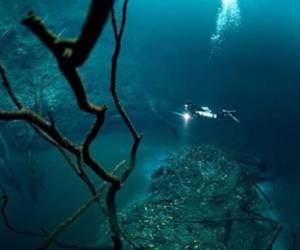 Imagen de un buzo explorando las profundidades del mar.