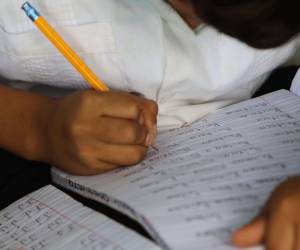 La alta cantidad de tareas, pero poca enseñanza, hace que los alumnos no quieran asistir a clases y pierdan el interés por las materias.