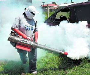 Acciones contra el dengue se intensificarán por un mes.