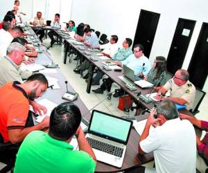 Representantes de diferentes instituciones se reunieron ayer para tomar acciones y evitar que el gorgojo se extienda al bosque de pino.