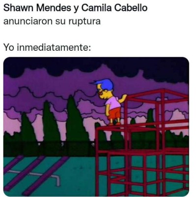 ¿Con quién se queda el perro? Los memes que dejó la separación de Camila Cabello y Shawn Mendes