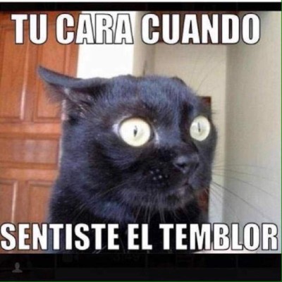 Memes: Con humor reaccionan después del temblor en Honduras