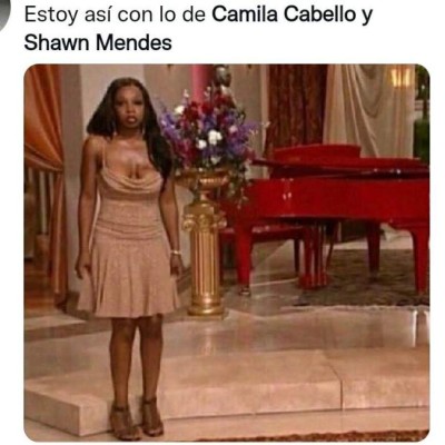 ¿Con quién se queda el perro? Los memes que dejó la separación de Camila Cabello y Shawn Mendes