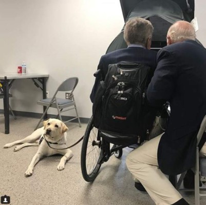 FOTOS: La conmovedora historia de Sully, el perro que acompañó a Bush hasta el final