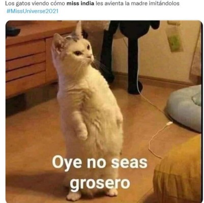 Memes que dejó el 'miau' de Harnaaz Sandhu en ceremonia de Miss Universo