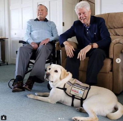 FOTOS: La conmovedora historia de Sully, el perro que acompañó a Bush hasta el final