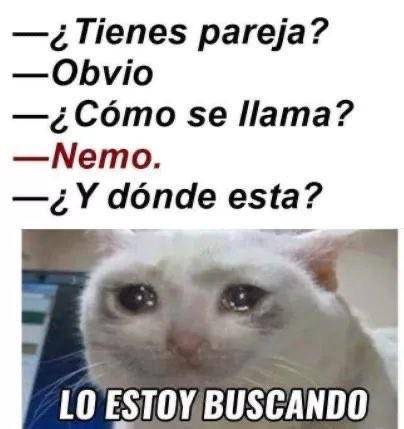 ¿El amor está en el aire? Los mejores memes por Día de San Valentín