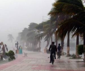 Newton tocó tierra por primera vez con vientos de 150 km/hora cerca del balneario de Los Cabos, desplazándose principalmente por zonas deshabitadas (Fotos: AFP)