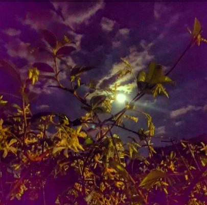 La hermosa luna que ilumina las noches de Tegucigalpa   