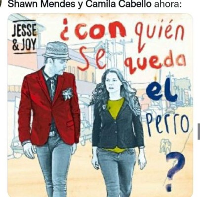 ¿Con quién se queda el perro? Los memes que dejó la separación de Camila Cabello y Shawn Mendes