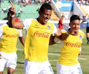 Los Leones están de punteros en el torneo de Apertura 2016.