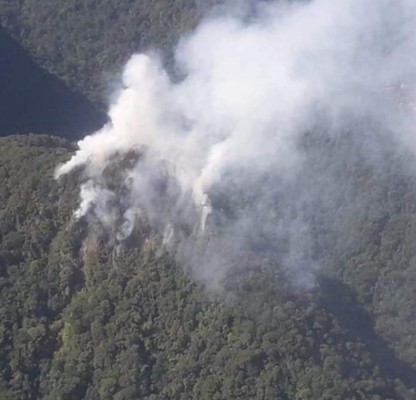 FOTOS: Lo que se sabe del extraño humo que emana de Pico Bonito