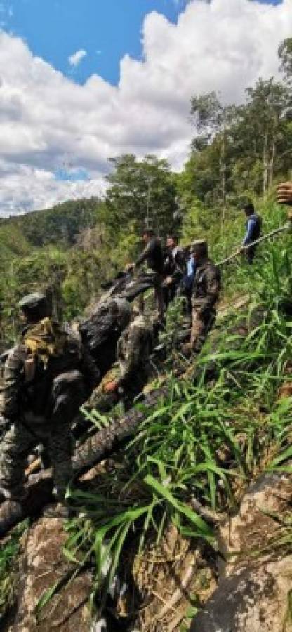 Honduras: Destruyen cultivos de hoja de coca en Colón    