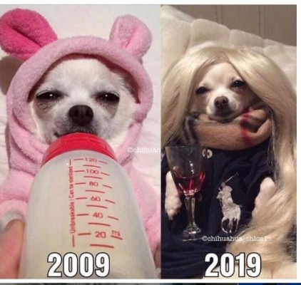 VIRAL: Los mejores memes del 10 years challenge