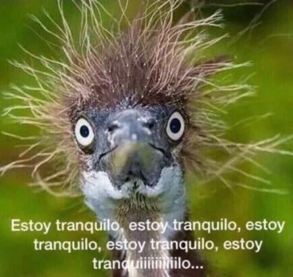 Con humor reaccionan después del temblor en Honduras