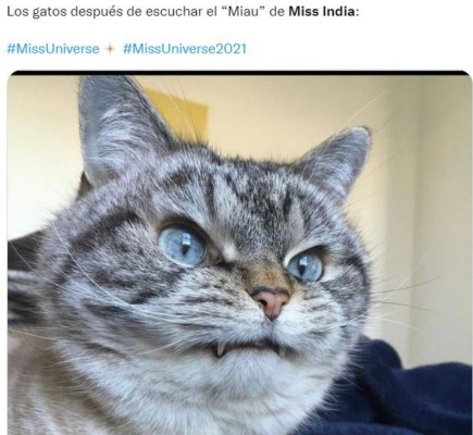 Memes que dejó el 'miau' de Harnaaz Sandhu en ceremonia de Miss Universo