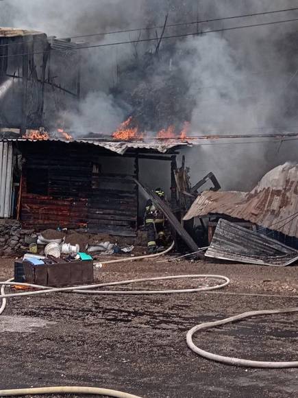 Las imágenes del incendio que consumió tres viviendas en colonia El Progreso