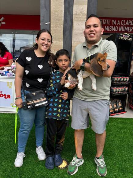 Pet Ville 2024: diversión y salud en conmemoración del Día Internacional del Perro