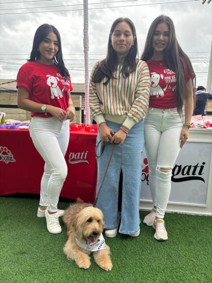 Pet Ville 2024: diversión y salud en conmemoración del Día Internacional del Perro