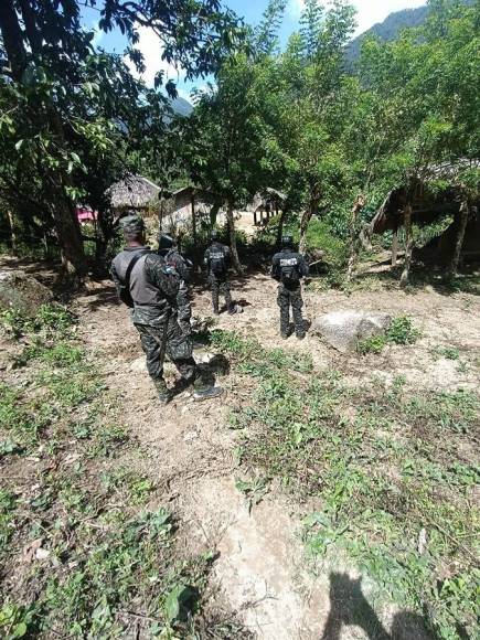 Invadidas, deforestadas o con cultivos prohibidos están varias zonas protegidas