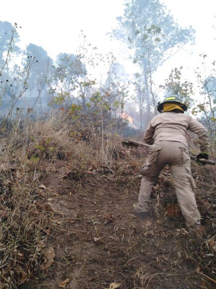 Las imágenes del pavoroso incendio que no ha podido sofocarse en Santa Lucía