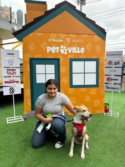 Pet Ville 2024: diversión y salud en conmemoración del Día Internacional del Perro